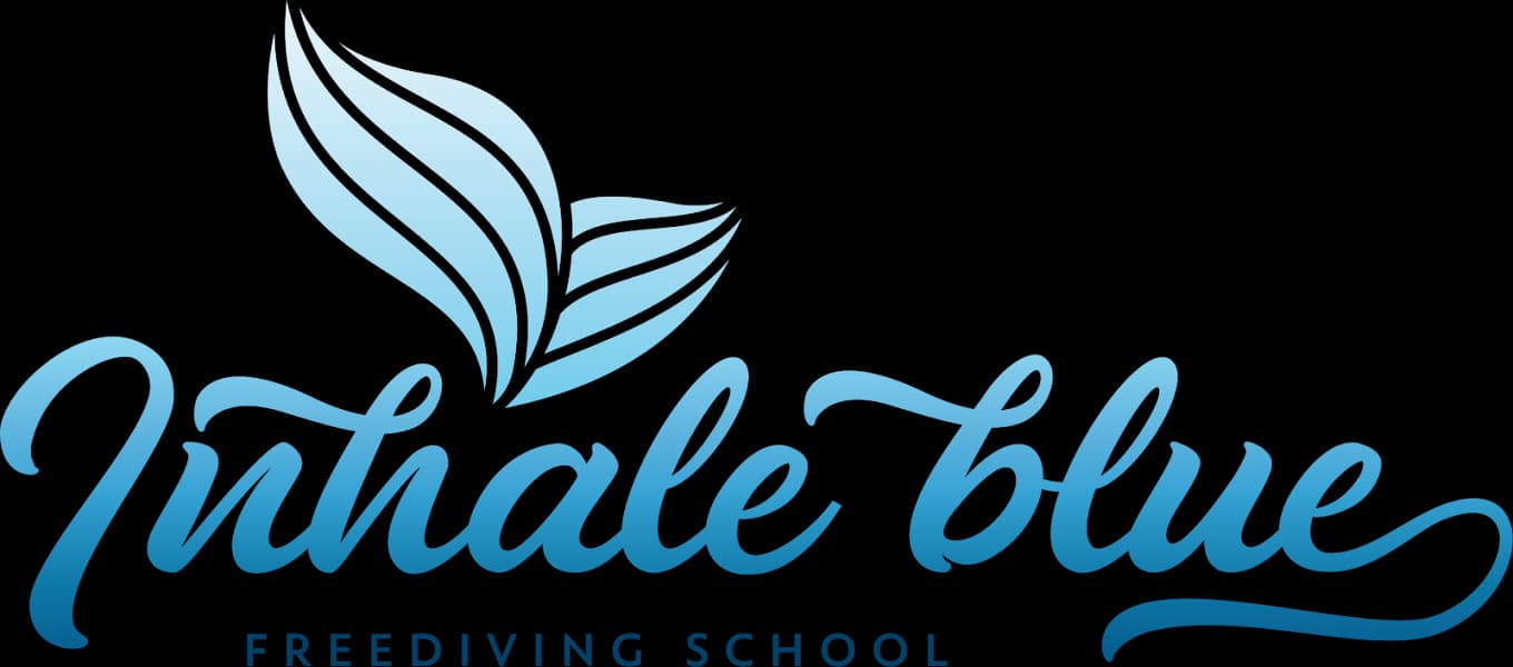 Logo for Inhale - Blue